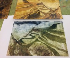 MFP-Collagraph